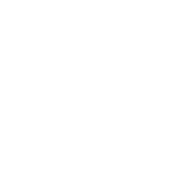 Thamiris Nascimento Advocacia Imigratória